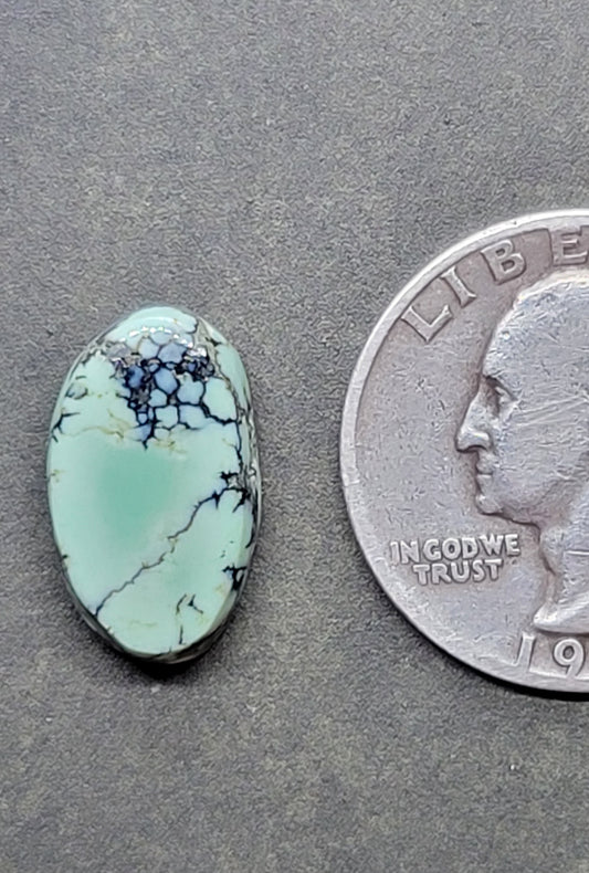 Saguaro Variscite Cabochon