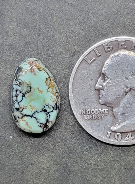 Saguaro Variscite Cabochon