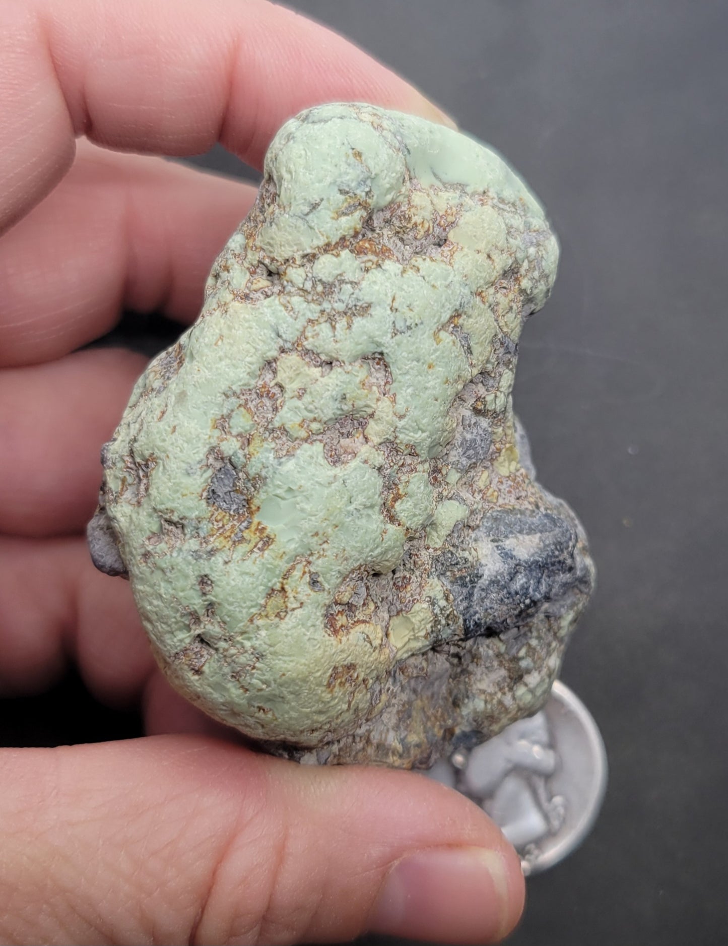 Frog Blossom Variscite Rough for Cabbing