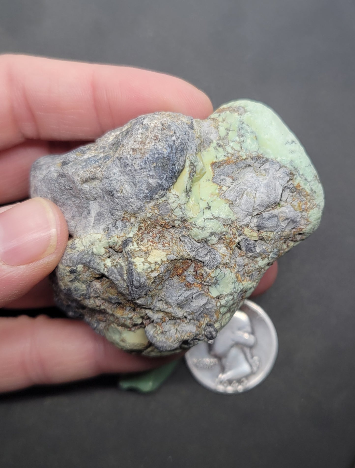 Frog Blossom Variscite Rough for Cabbing