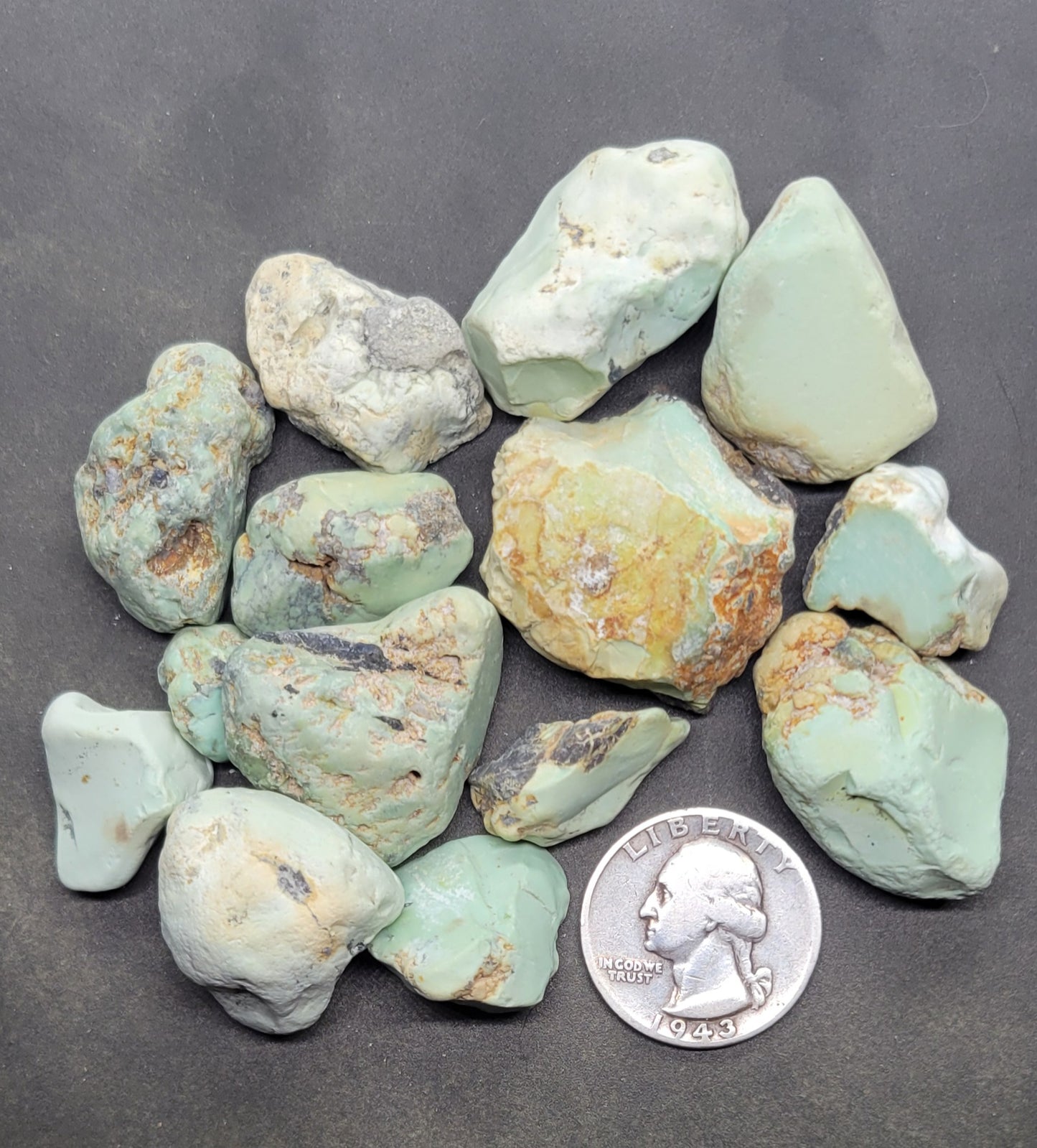 Frog Blossom Variscite Rough for Cabbing