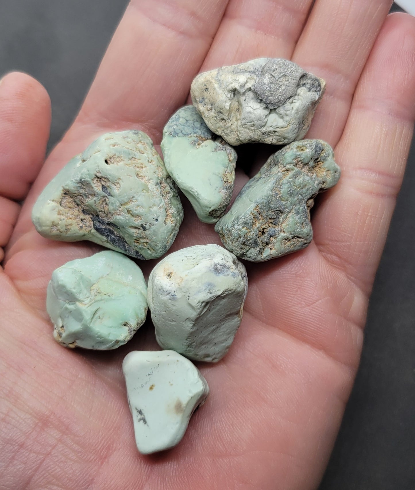 Frog Blossom Variscite Rough for Cabbing (Bulk)