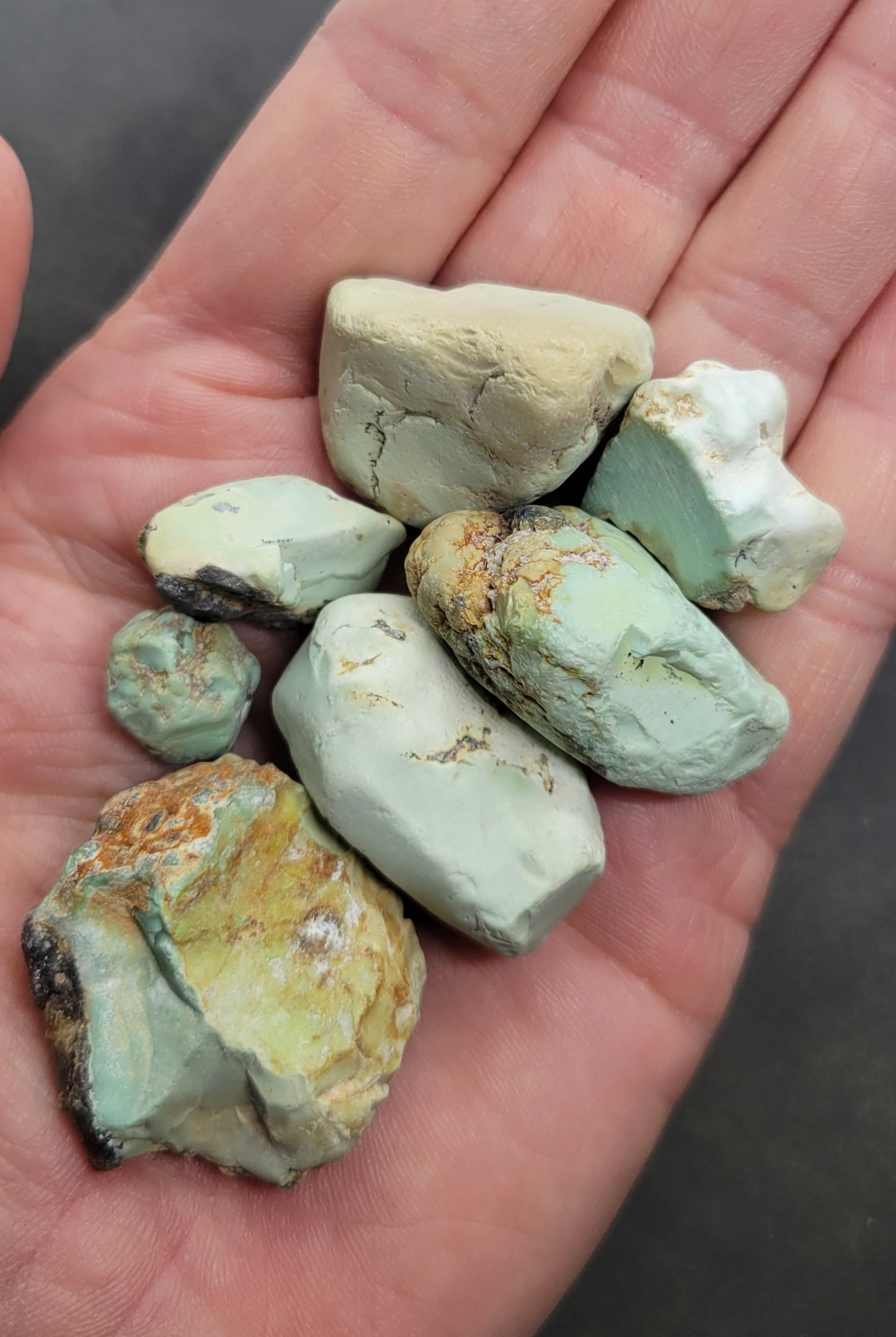 Frog Blossom Variscite Rough for Cabbing (Bulk)