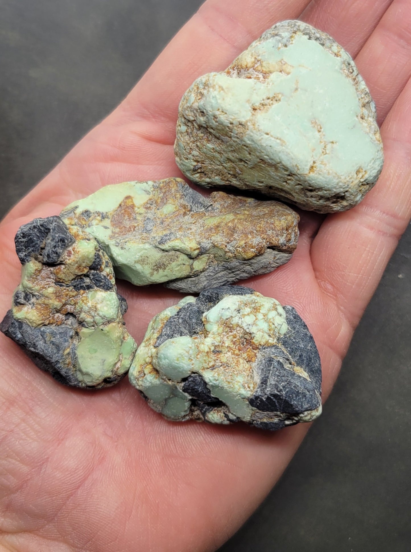 Frog Blossom Variscite Rough for Cabbing (Bulk)