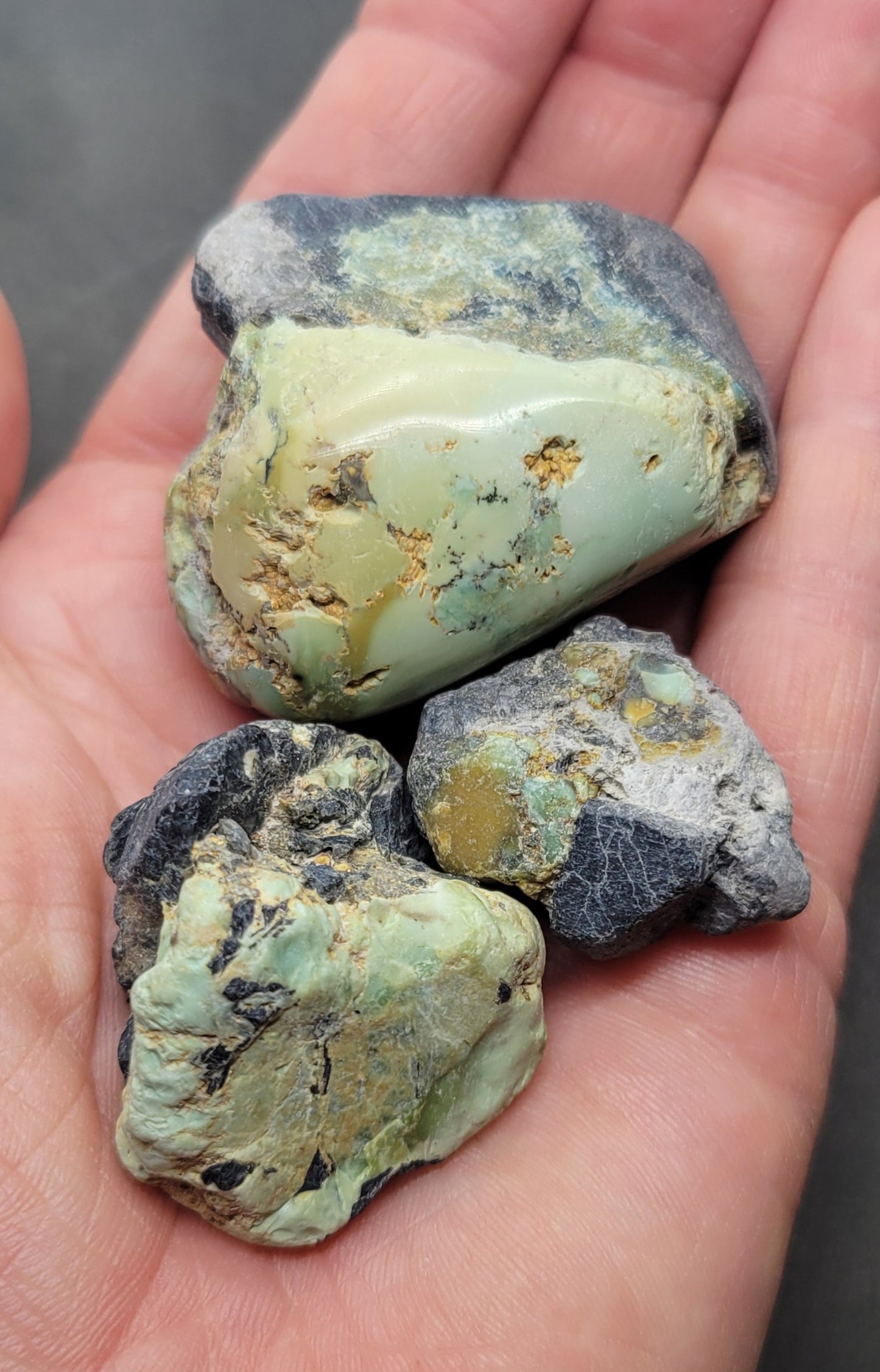 Frog Blossom Variscite Rough for Cabbing