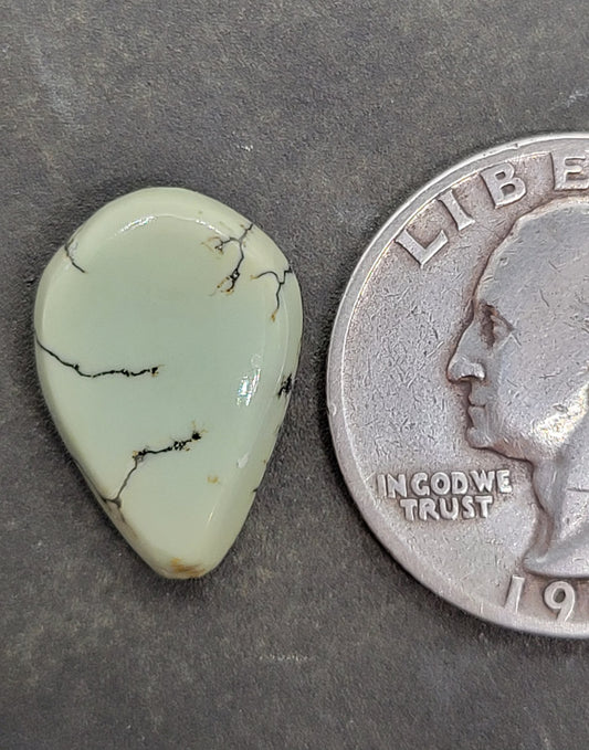 Saguaro Variscite Cabochon