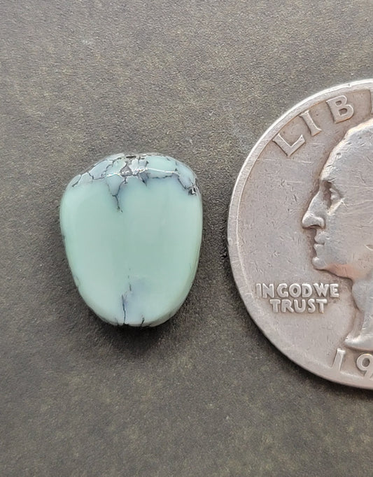 Saguaro Variscite Cabochon