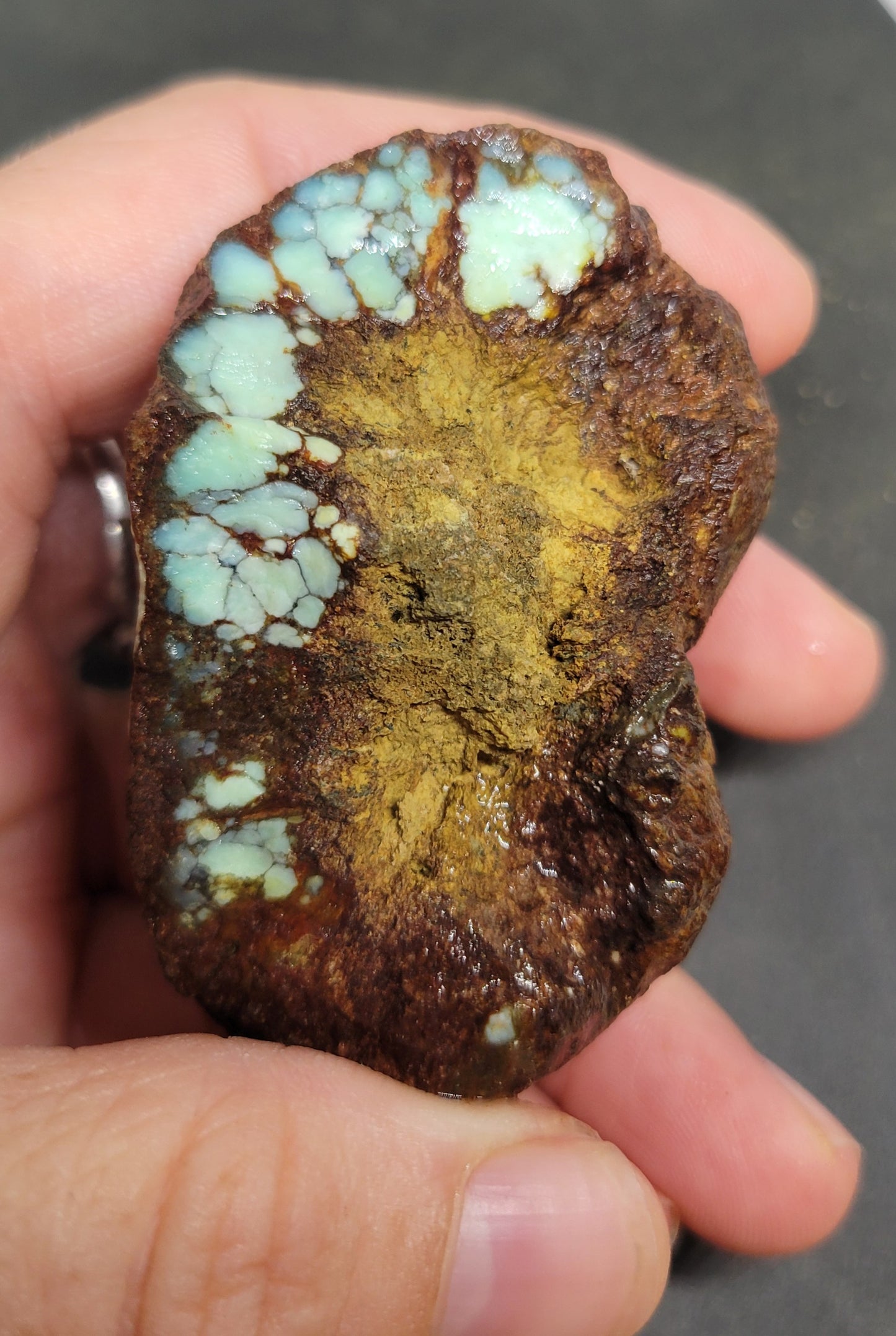 Seven Dwarfs Variscite/Turquoise 7D rough for cabbing - Nevada Variscite - 288 grams