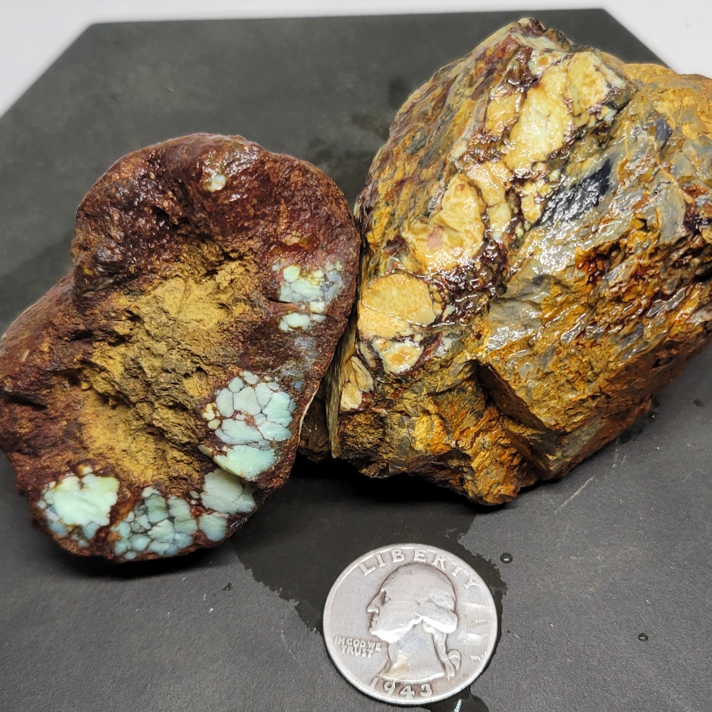 Seven Dwarfs Variscite/Turquoise 7D rough for cabbing - Nevada Variscite - 288 grams