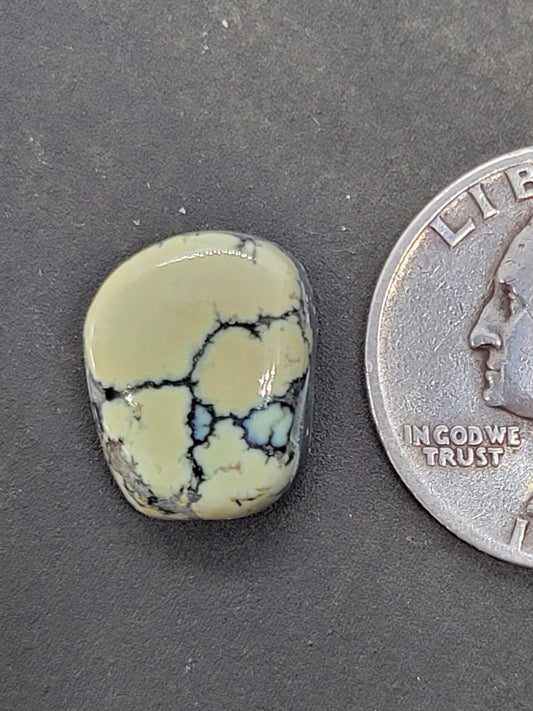 Saguaro Variscite Cabochon