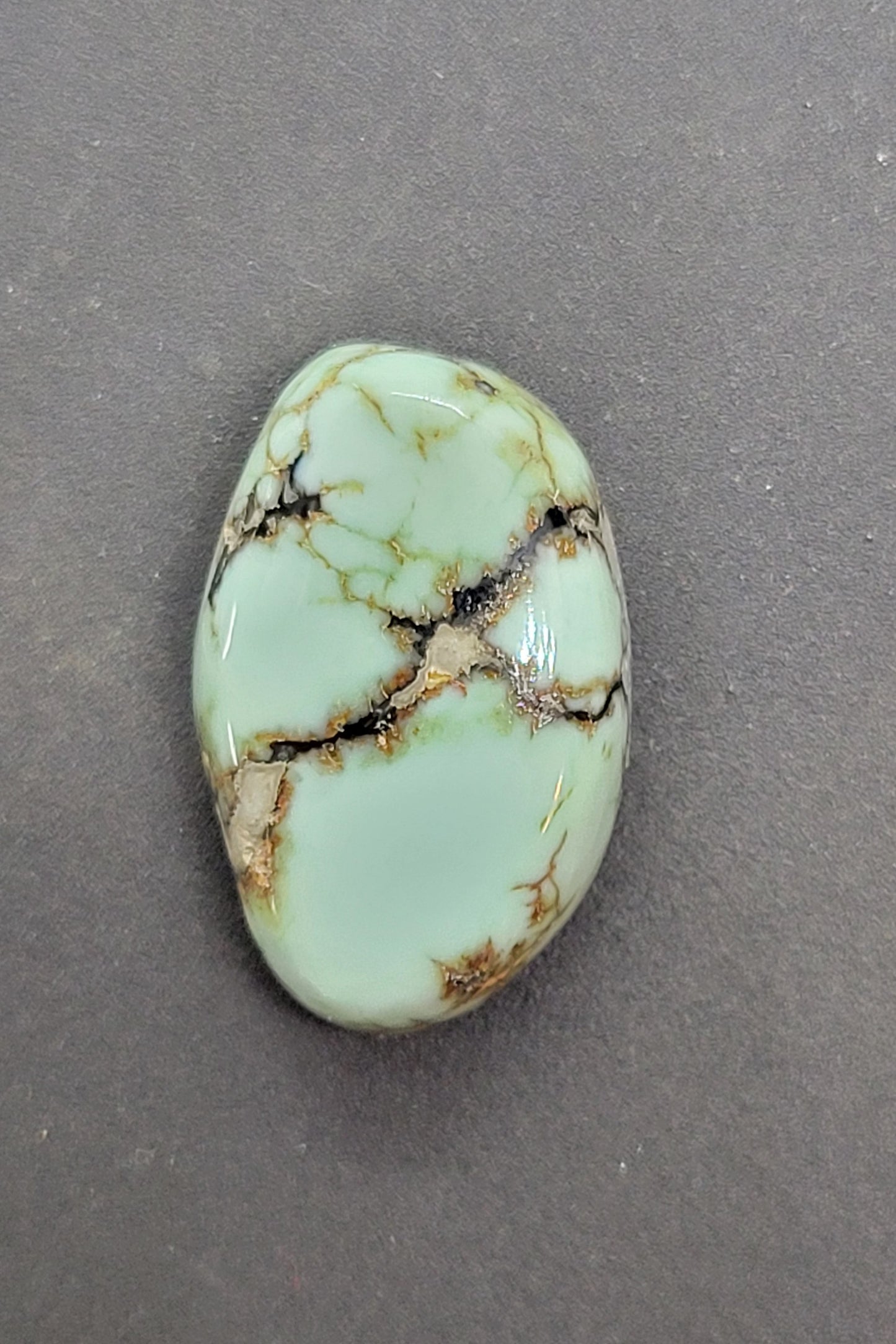 Saguaro Variscite Cabochon