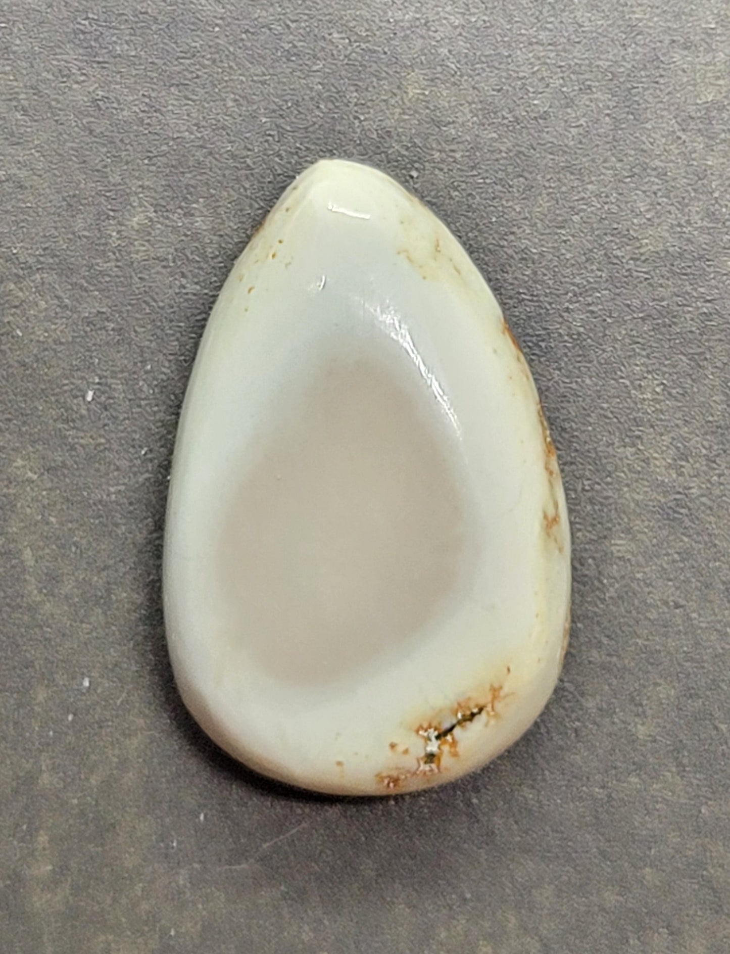 Saguaro Variscite Cabochon