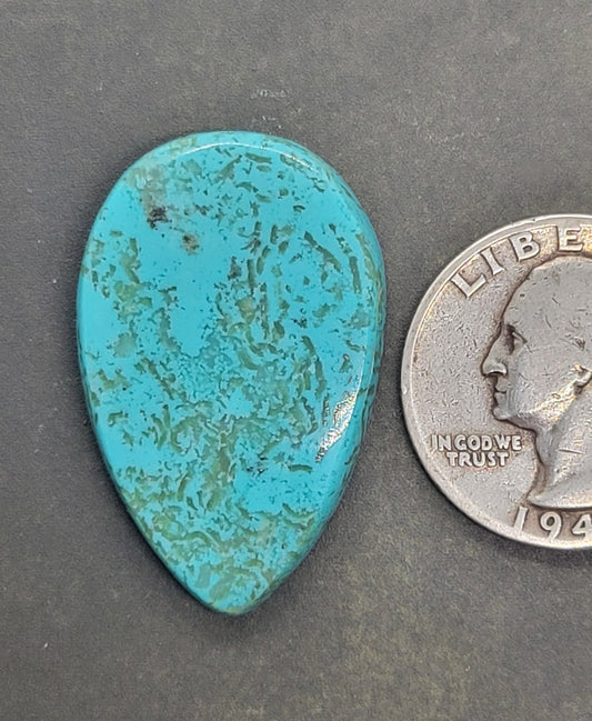 Ithaca Peak Turquoise Cabochon