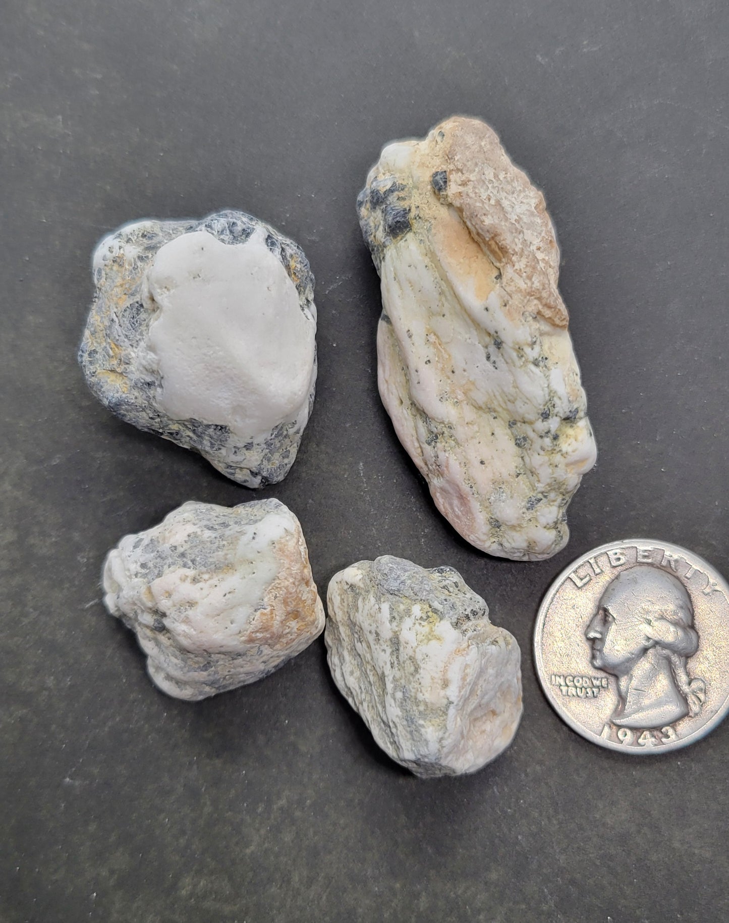 White Buffalo Variscite Rough for Cabbing 1 pound