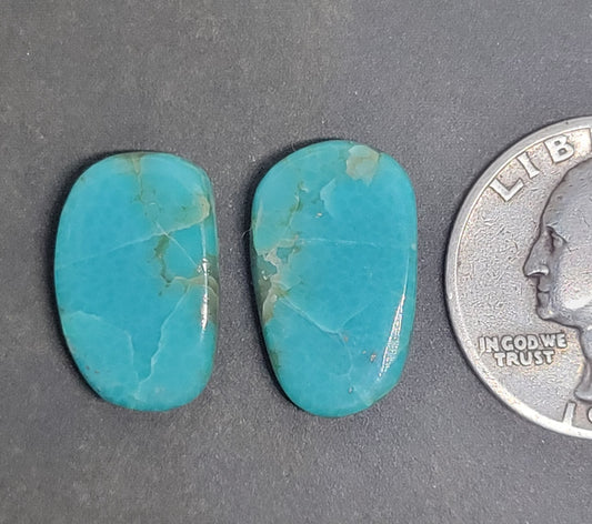 Arizona Turquoise Cabochon set