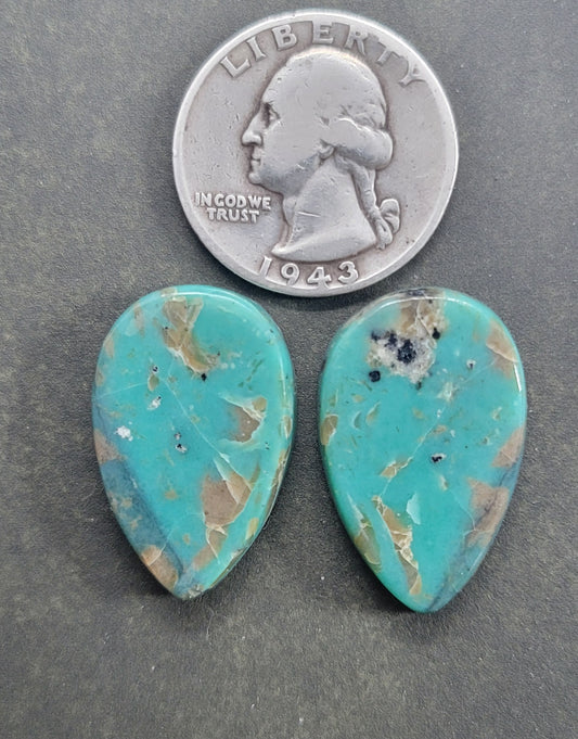 Arizona Turquoise Cabochon set