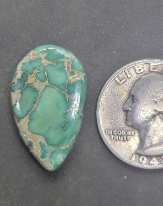 Frog Blossom Variscite Cabochon