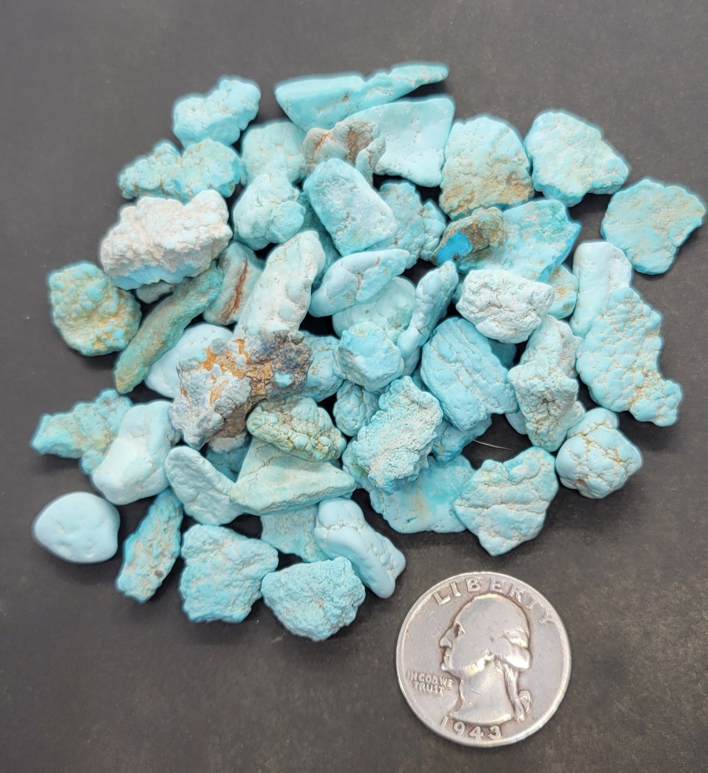 Gecko Turquoise rough for cabbing/beading- Nevada Turquoise - 100 grams