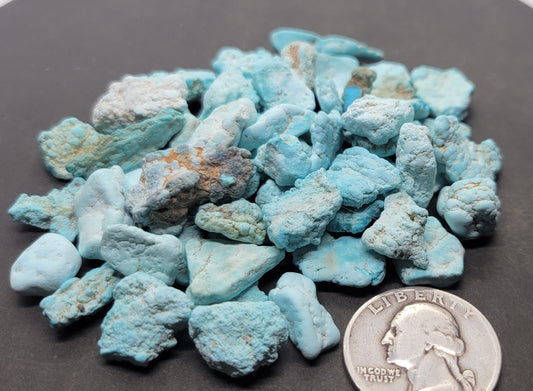 Gecko Turquoise rough for cabbing/beading- Nevada Turquoise - 100 grams