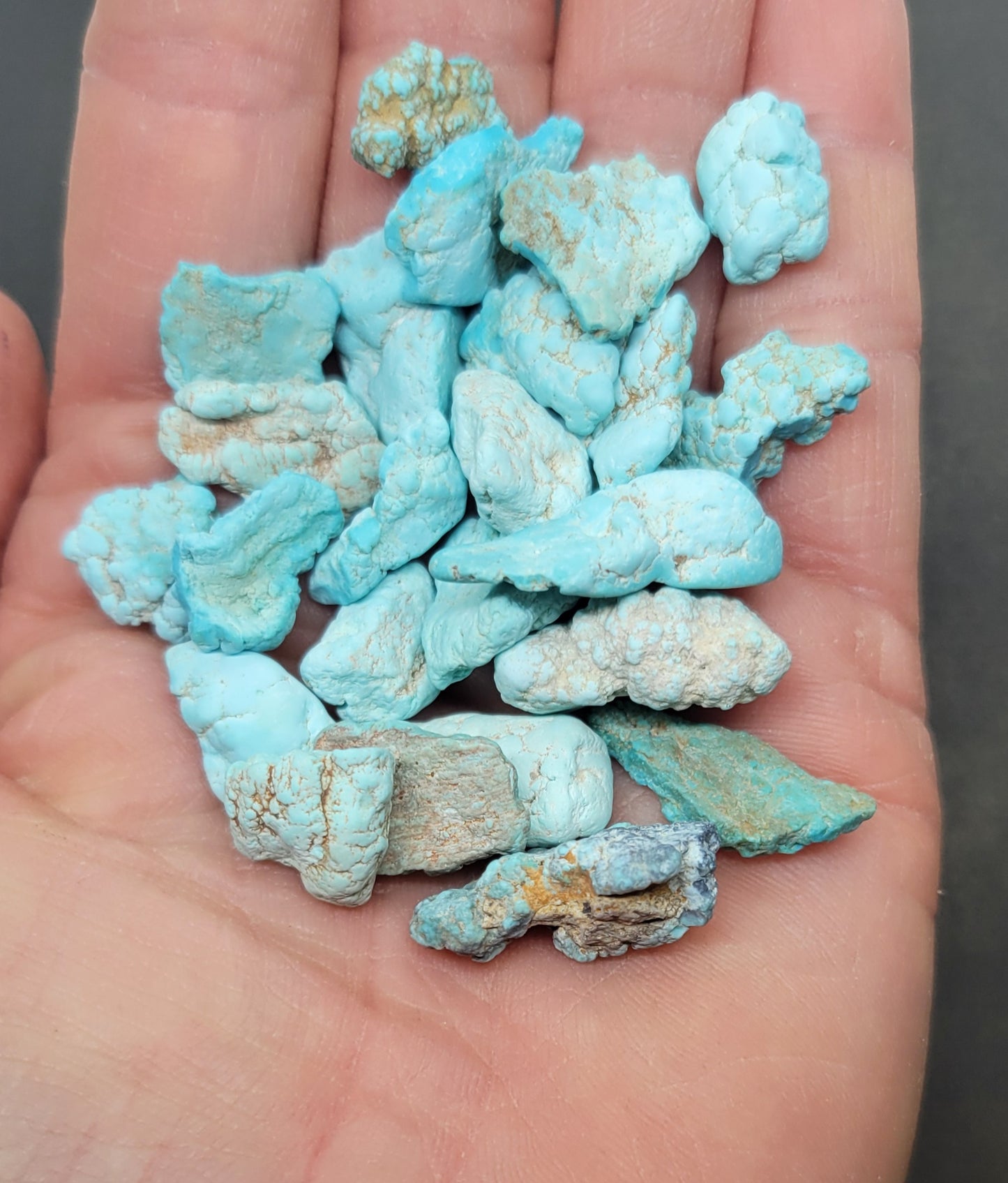 Gecko Turquoise rough for cabbing/beading- Nevada Turquoise - 100 grams