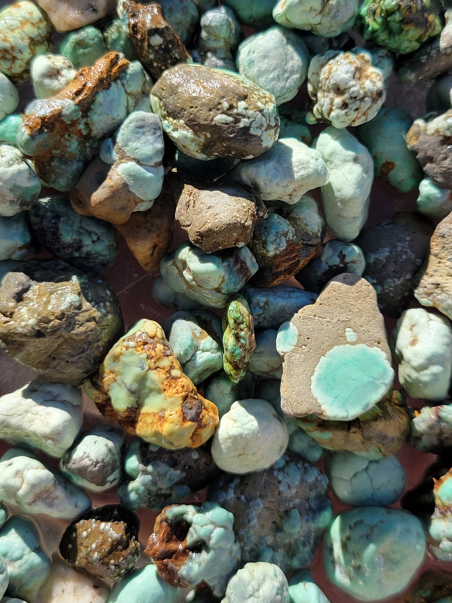 Frog Blossom Variscite/Turquoise rough for cabbing/ beading - Nevada Variscite - 200 gram lot