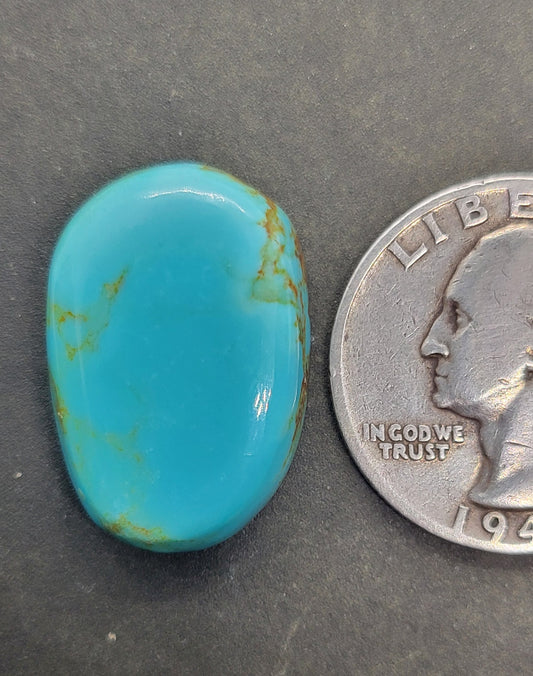 Number 8 Mine Turquoise Cabochon