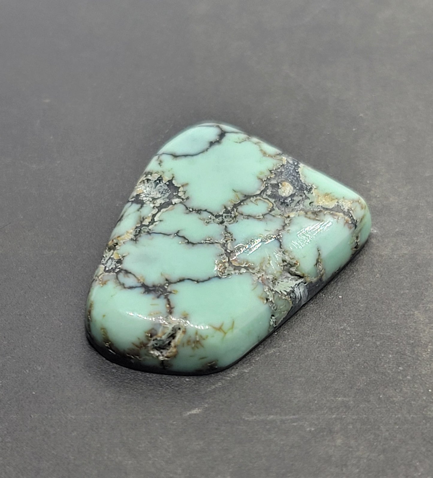 Saguaro Variscite Cabochon