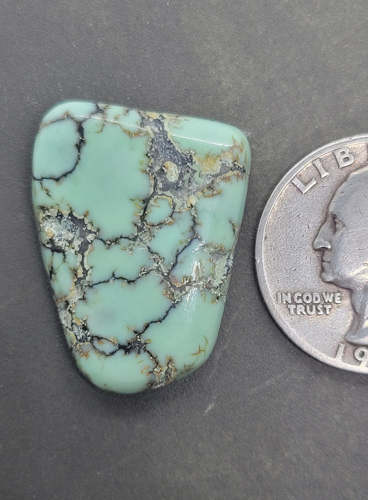 Saguaro Variscite Cabochon