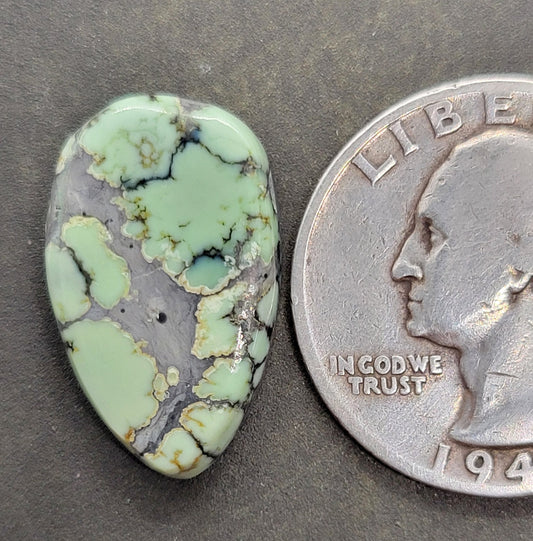 Saguaro Variscite Cabochon