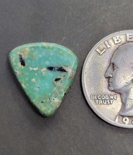 Turquoise Cabochon