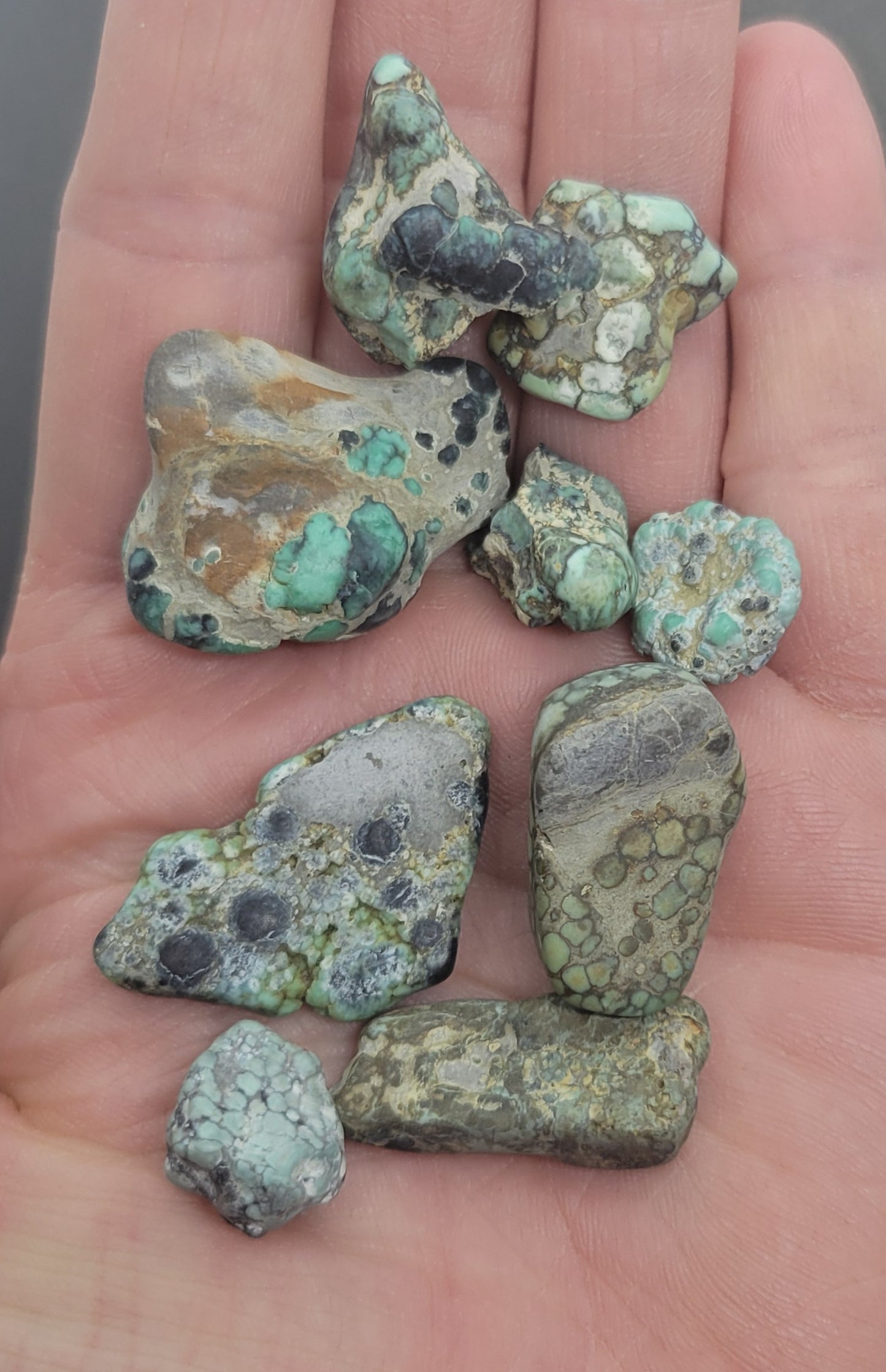 Blue Boy Variscite/Turquoise High Grade rough for cabbing - Nevada Variscite - 50 gram lots