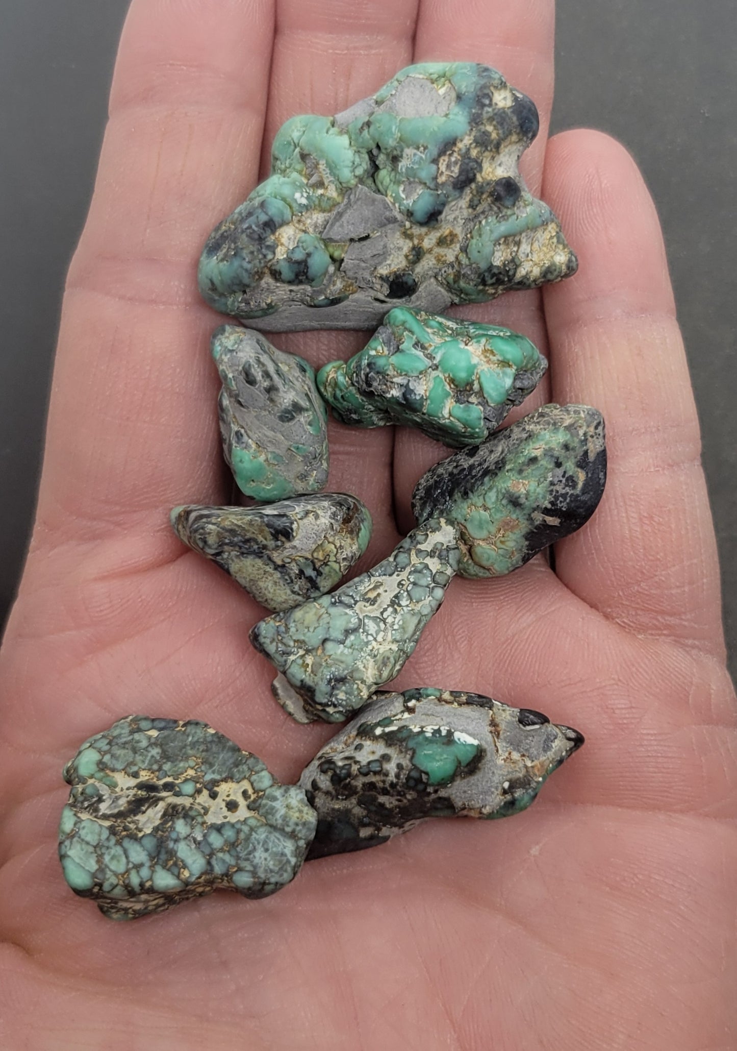 Blue Boy Variscite/Turquoise High Grade rough for cabbing - Nevada Variscite - 50 gram lots