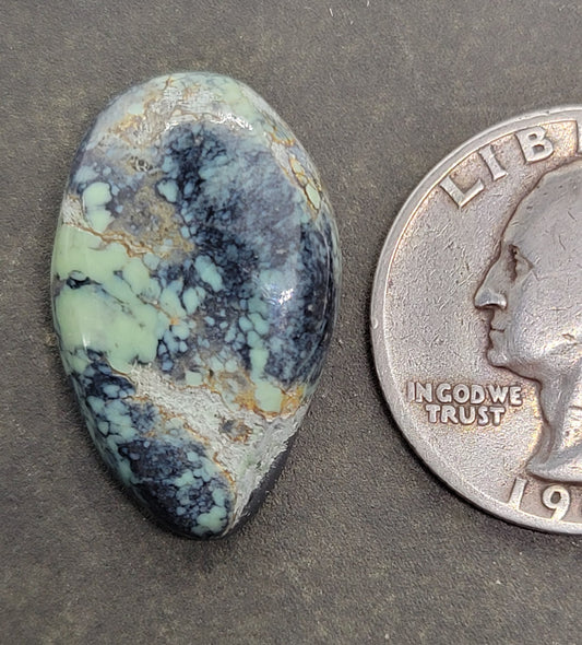 Prince Mine Variscite Cabochon