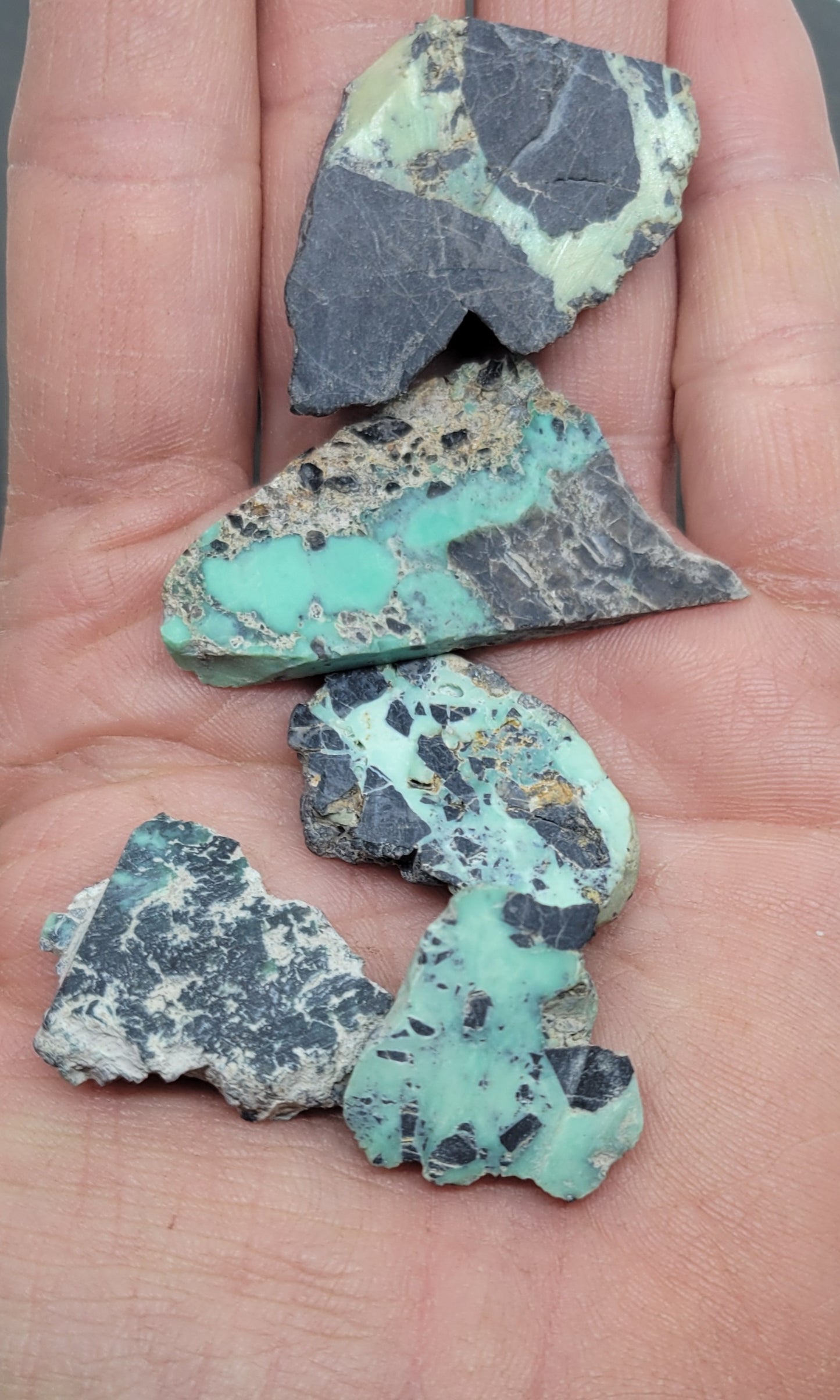 Apache Variscite/Turquoise rough for cabbing - Nevada Variscite - 50 grams- lot 1