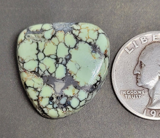 Saguaro Variscite Cabochon