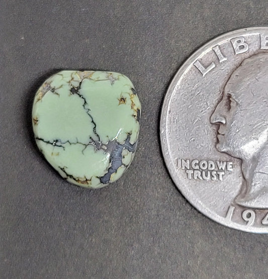 Saguaro Variscite Cabochon