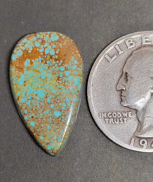 Numero Uno Turquoise Cabochon