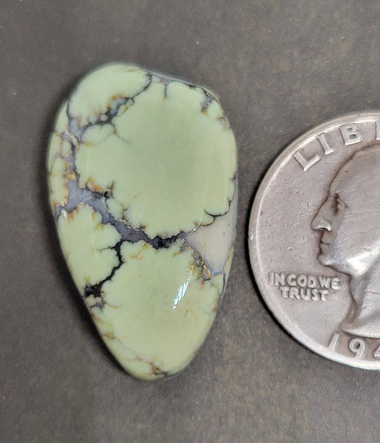 Saguaro Variscite Cabochon