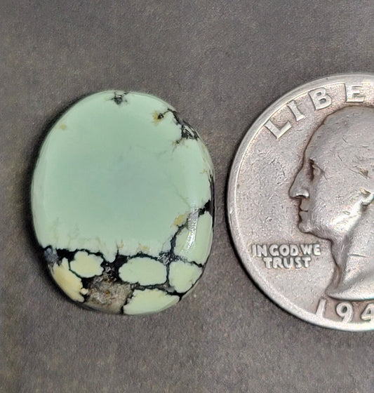 Saguaro Variscite Cabochon