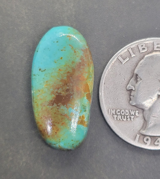 Masons Pass Turquoise Cabochon