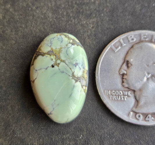 Prince Mine Variscite Cabochon