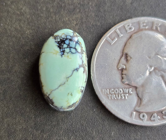 Saguaro Variscite Cabochon