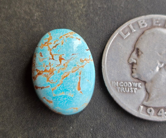 Royston Royal Blue Turquoise Cabochon