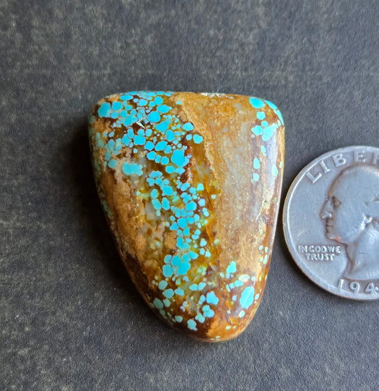 Number 8 Mine Turquoise Cabochon