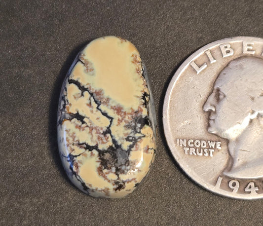 Saguaro Variscite Cabochon