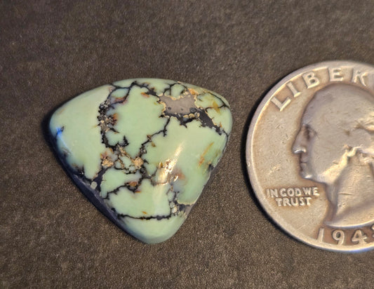 Saguaro Variscite Cabochon
