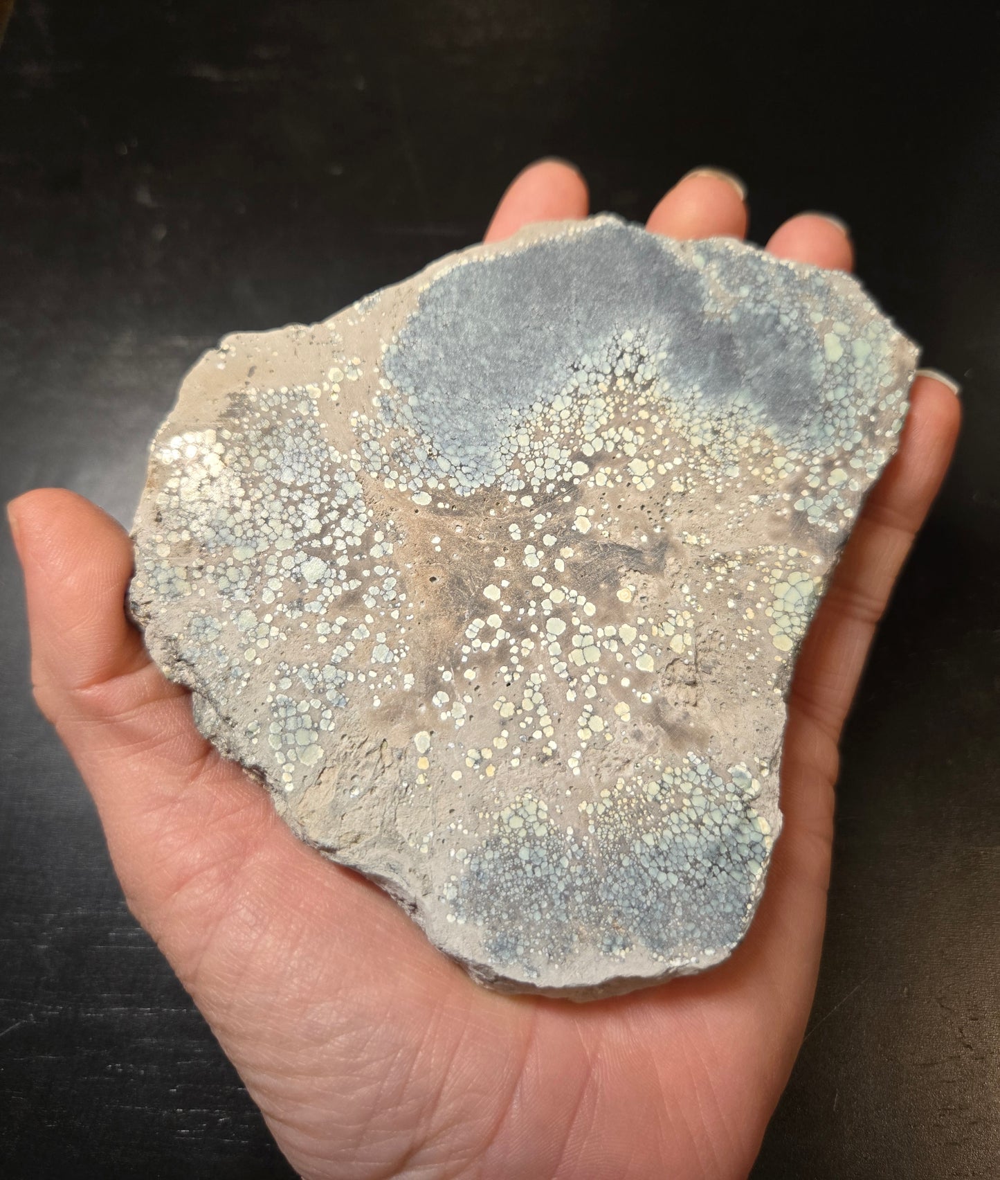 Desert Bloom Variscite/Turquoise slab for cabbing - Nevada Variscite - 183 grams