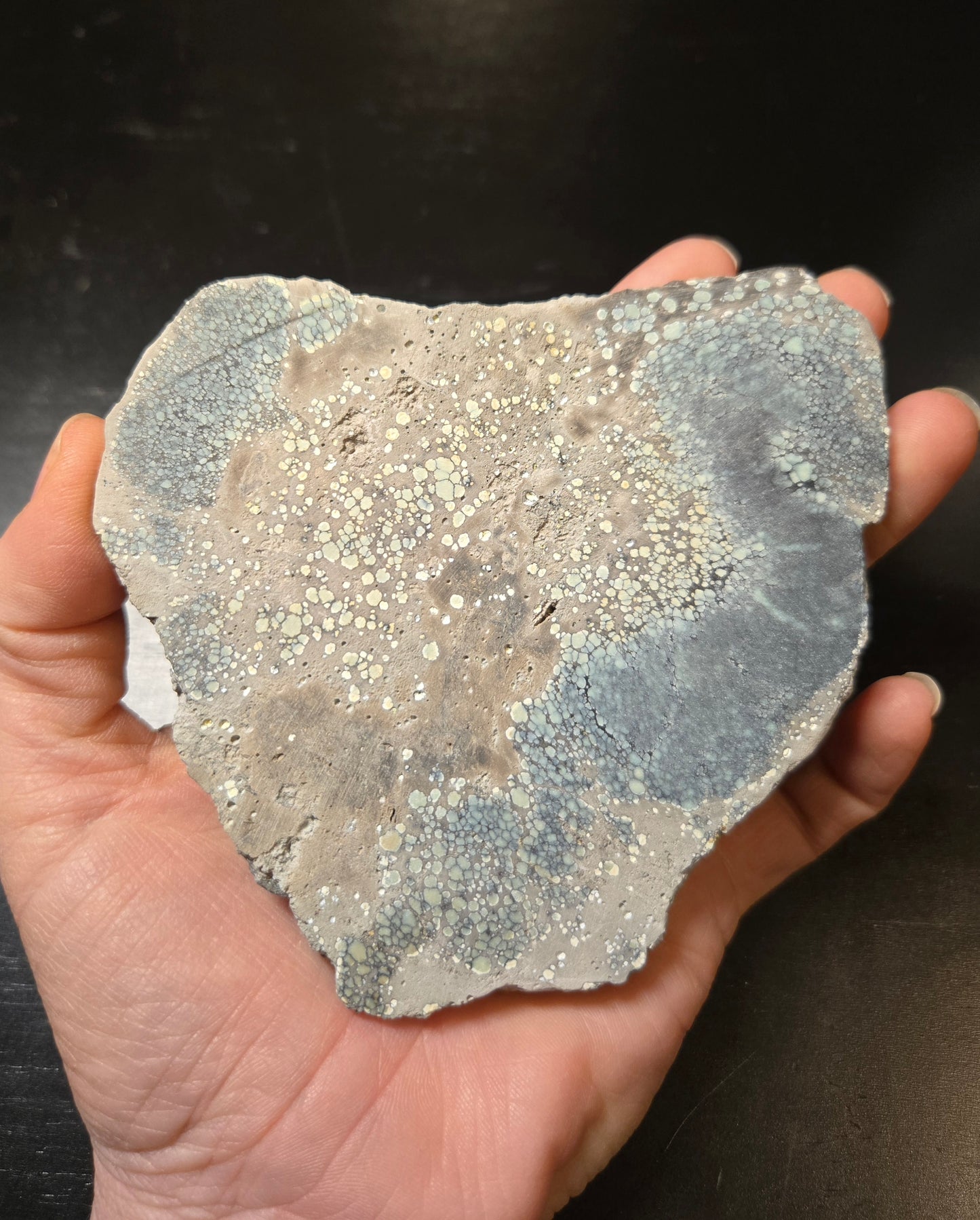 Desert Bloom Variscite/Turquoise slab for cabbing - Nevada Variscite - 183 grams