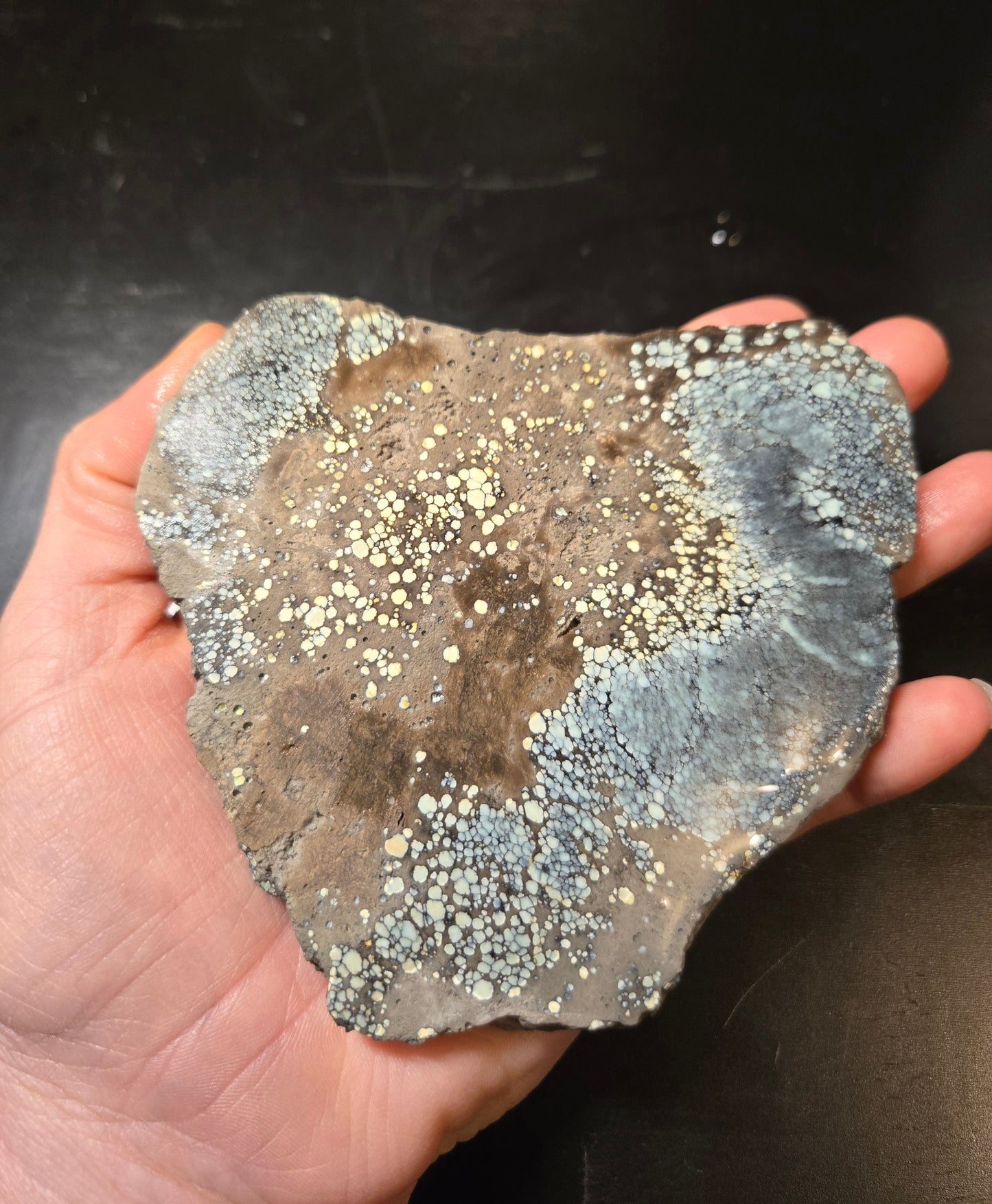 Desert Bloom Variscite/Turquoise slab for cabbing - Nevada Variscite - 183 grams