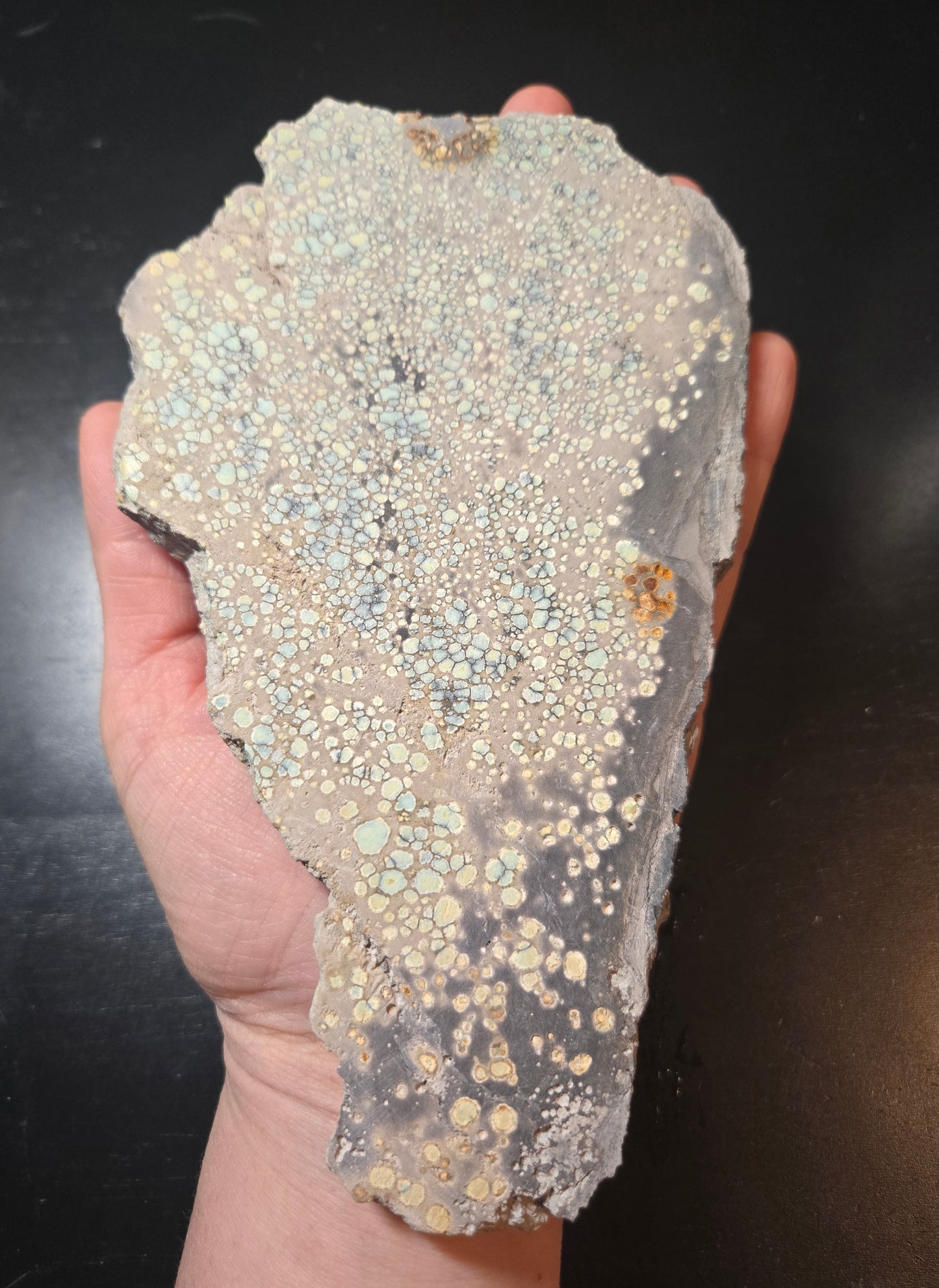 Desert Bloom Variscite/Turquoise slab for cabbing - Nevada Variscite - 282 grams